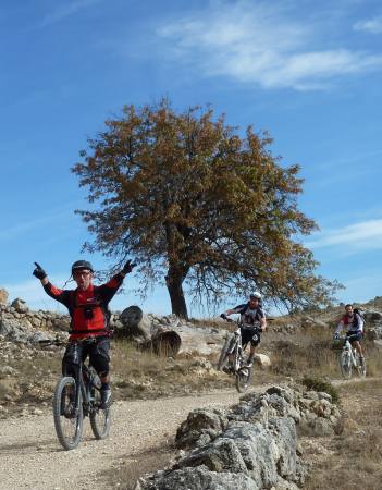 El Show Tinker en Morella Singletracks.